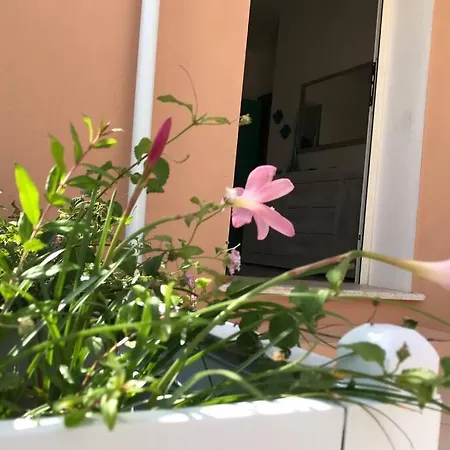 The Rik House أروسييْ